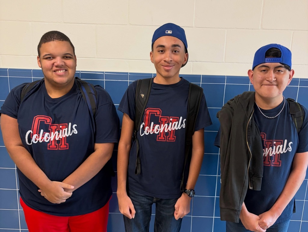 3 Boys dressed in matching Colonial T Shirts for Twin Day