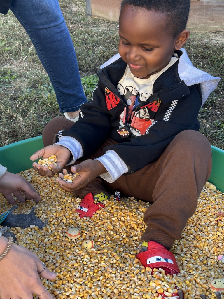 Boy playing in corn pit