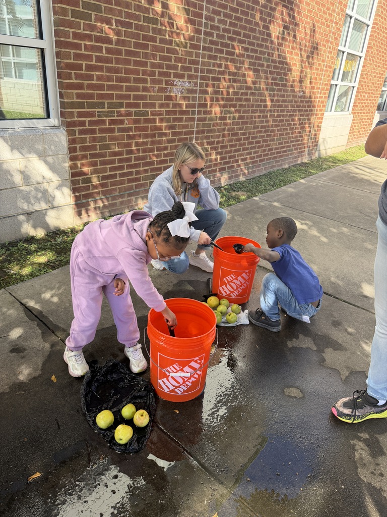 Students fishing for apples