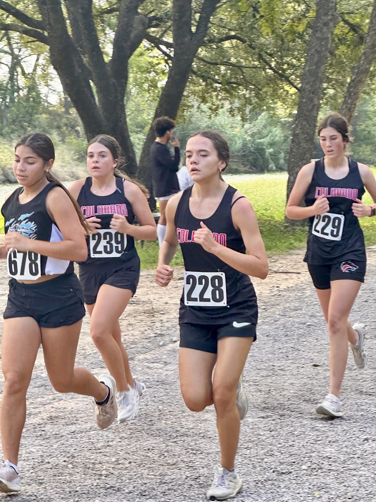 XC