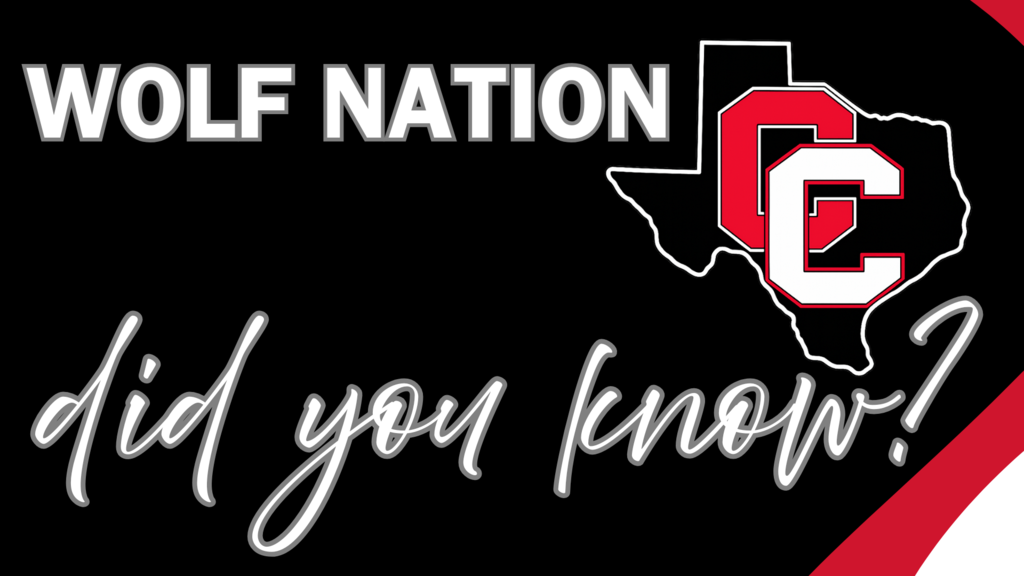 CISD