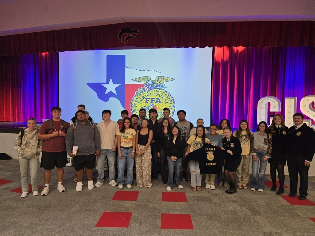 CHS