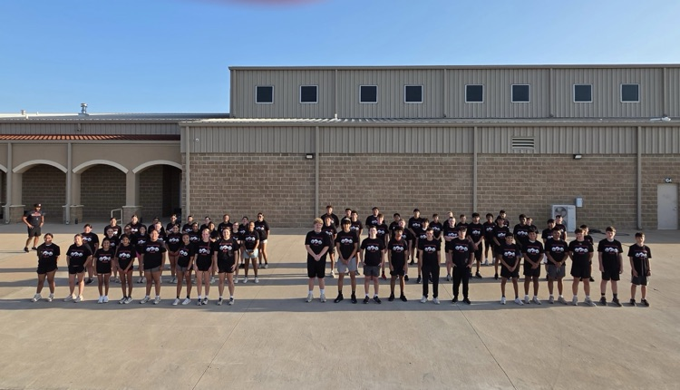 cisd
