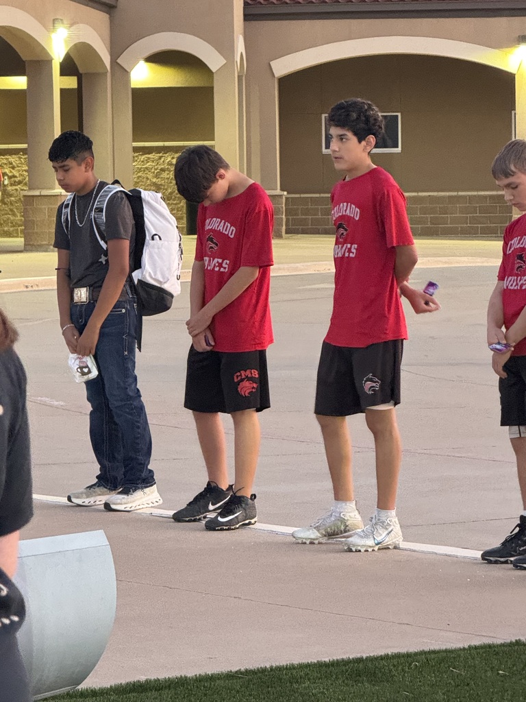 cisd
