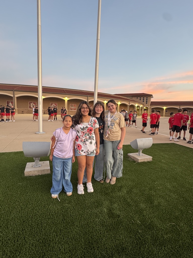 cisd