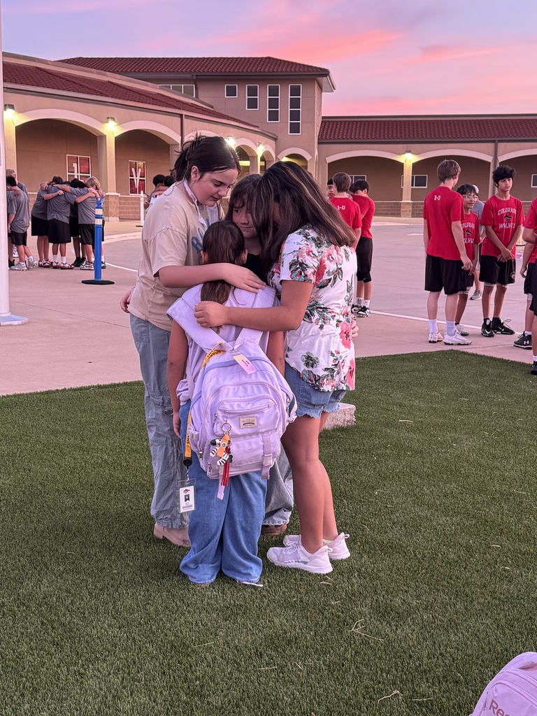 cisd