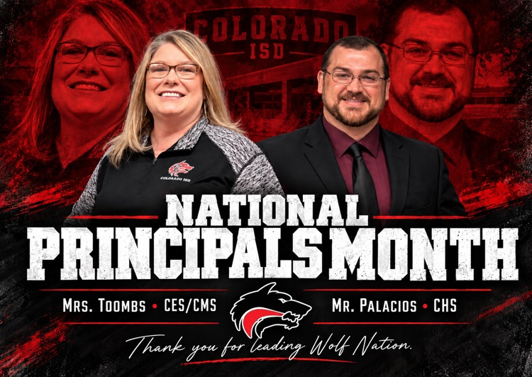 CISD