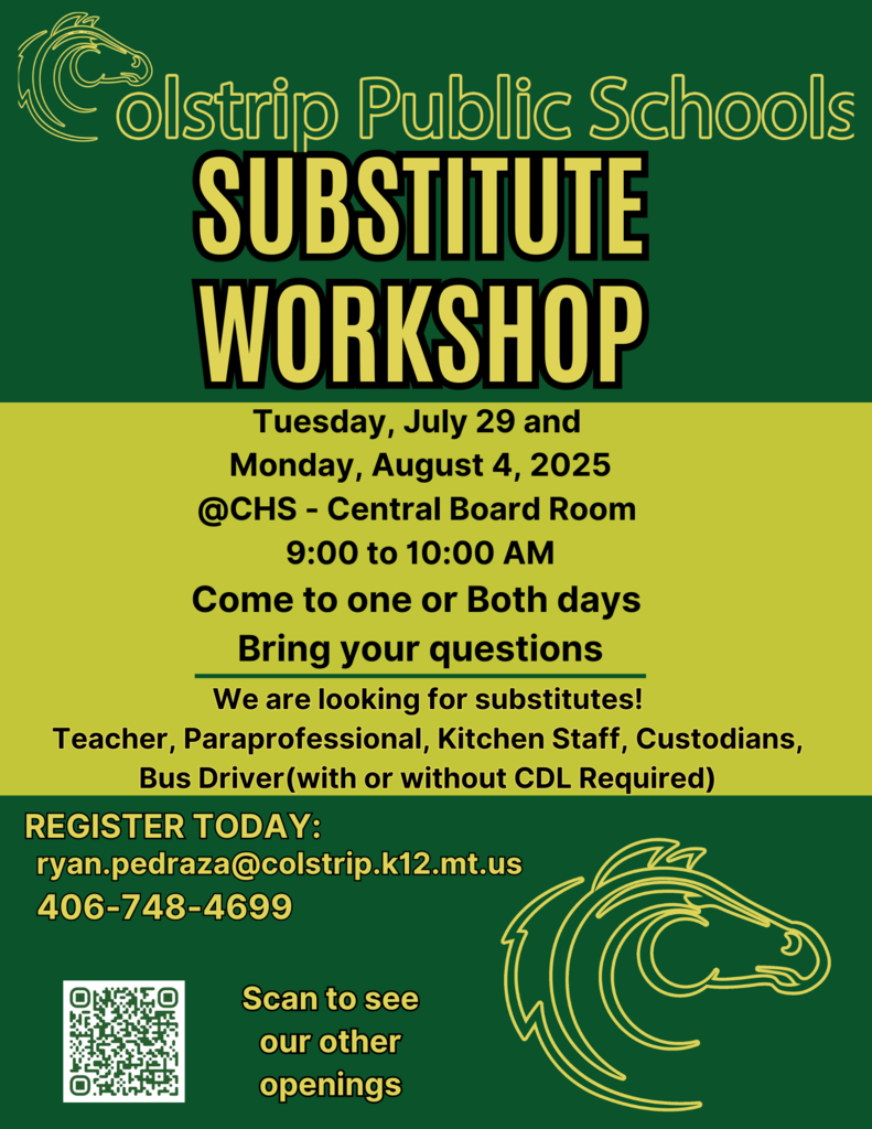Substitute Workshop for all interested.