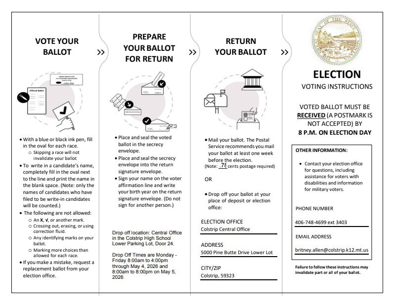 Voting Instructions