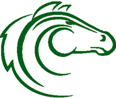 Horse Head