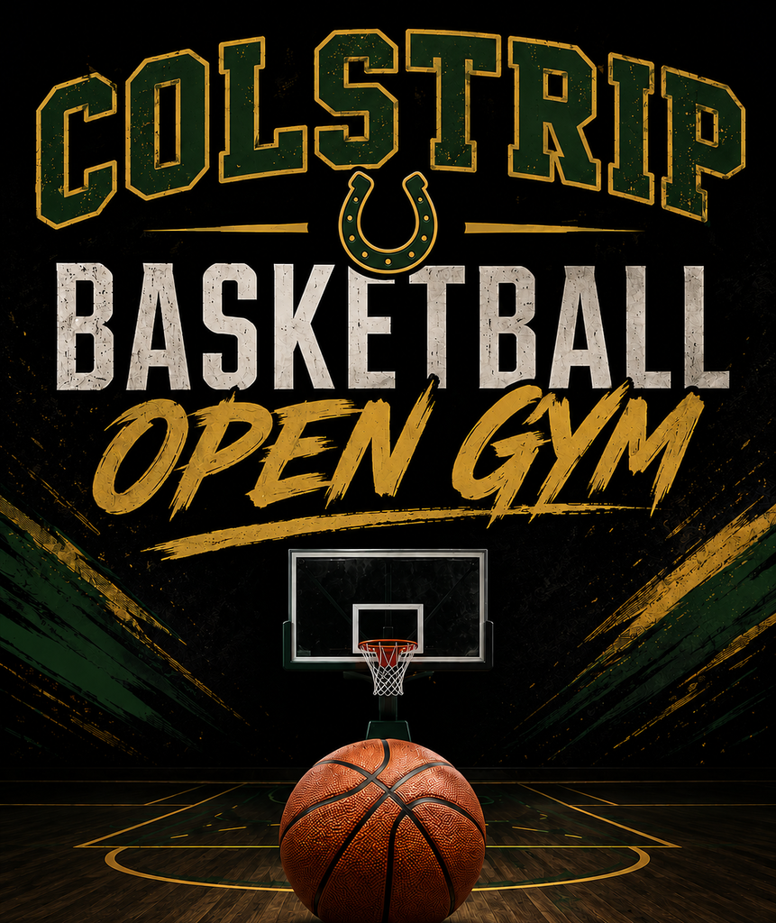 Open Gym