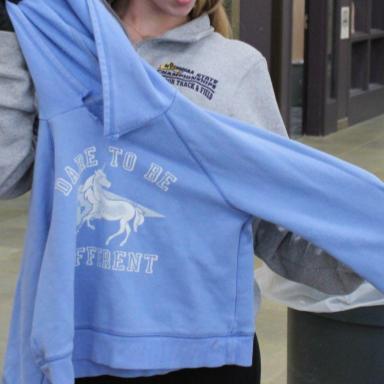 sweatshirt