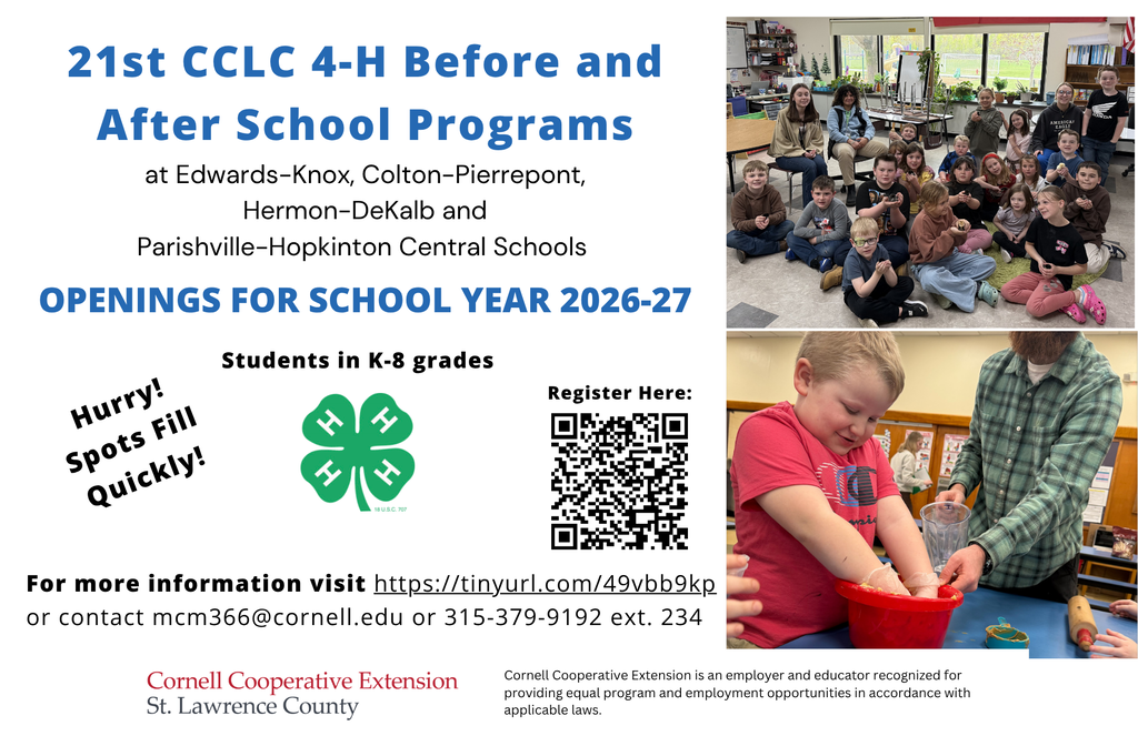 4-H Flyer