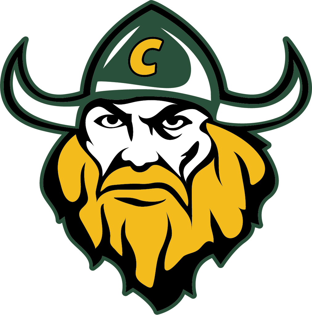 Viking logo