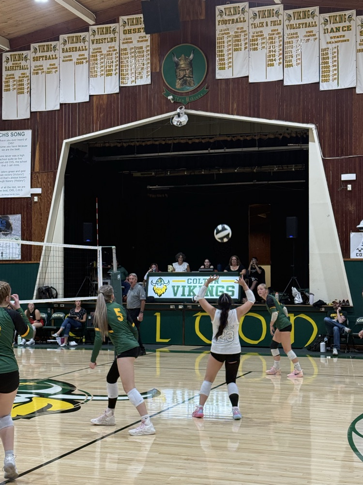 Volleyball