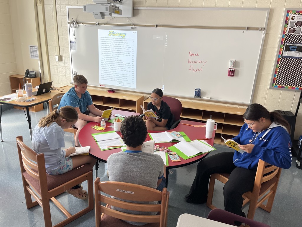Lemonade War reading 