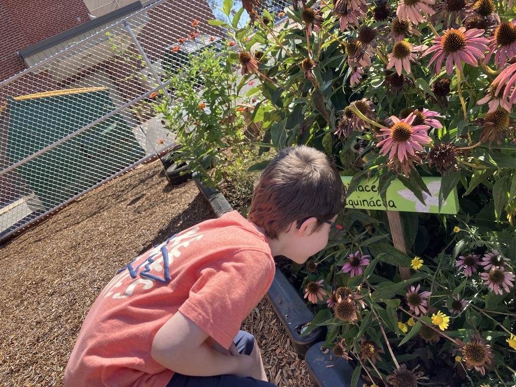 AS garden