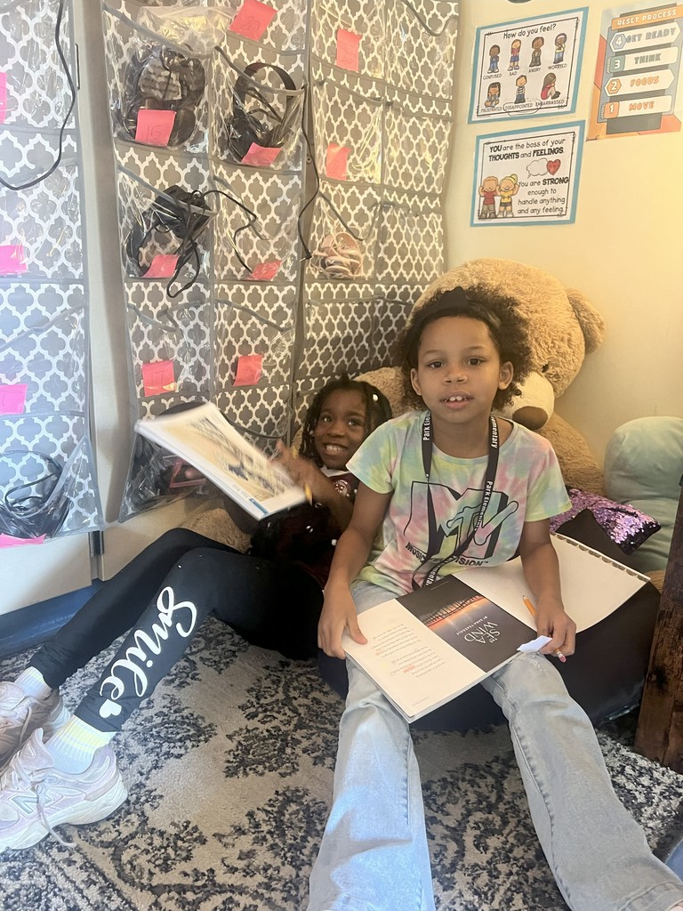 3rd reading