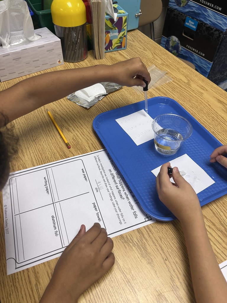 3rd science