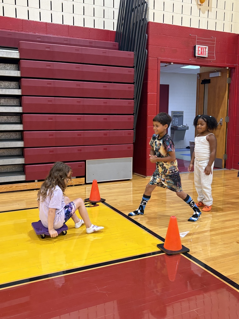 PBIS Scooter 2