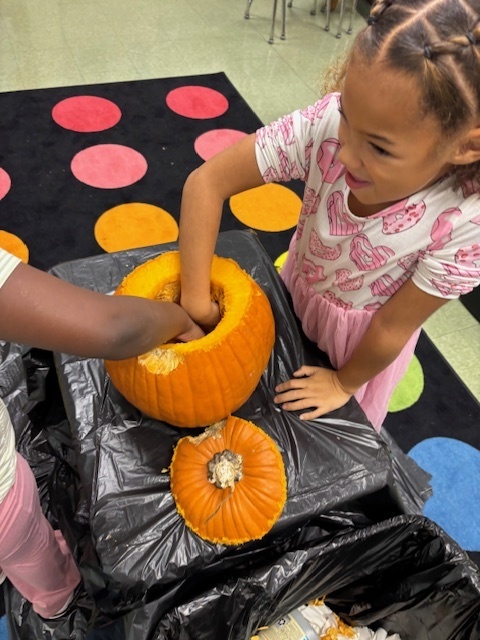 MHerrPumpkinInvestigation4