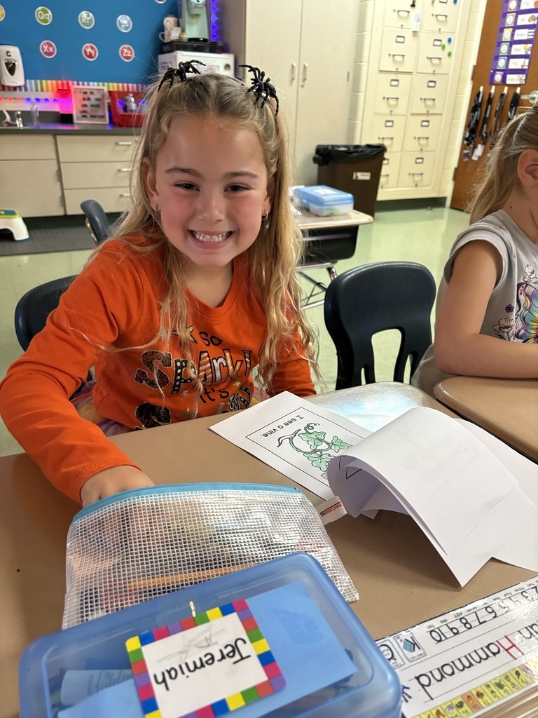 kindergartenrotations5