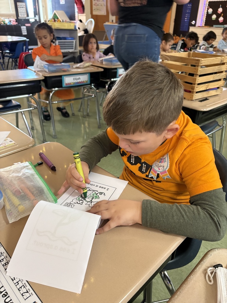 kindergartenrotations6