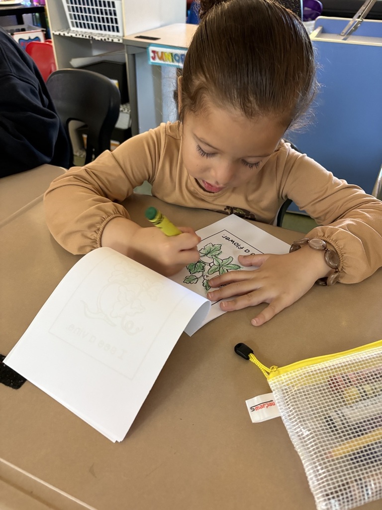 kindergartenrotations10