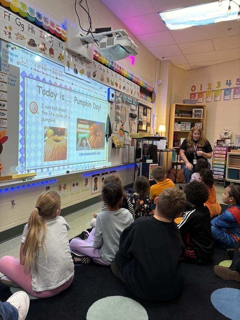 kindergartenrotations2