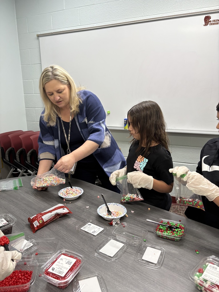 ambassadorsgingerbread5