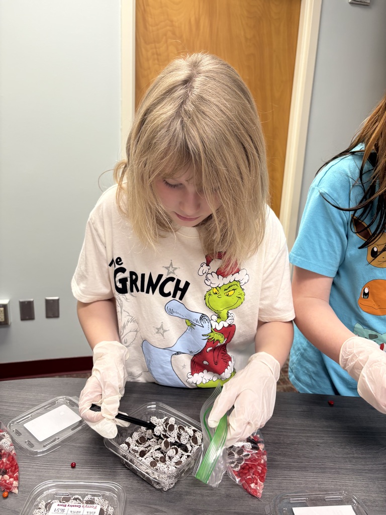 ambassadorsgingerbread4