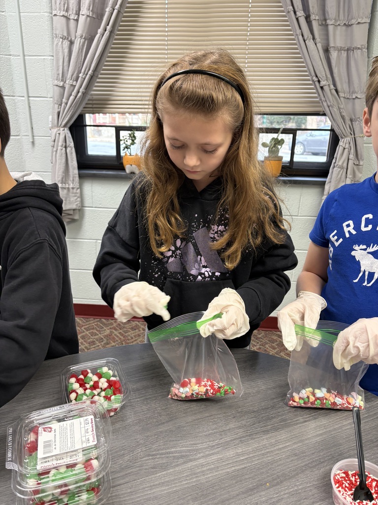 ambassadorsgingerbread7