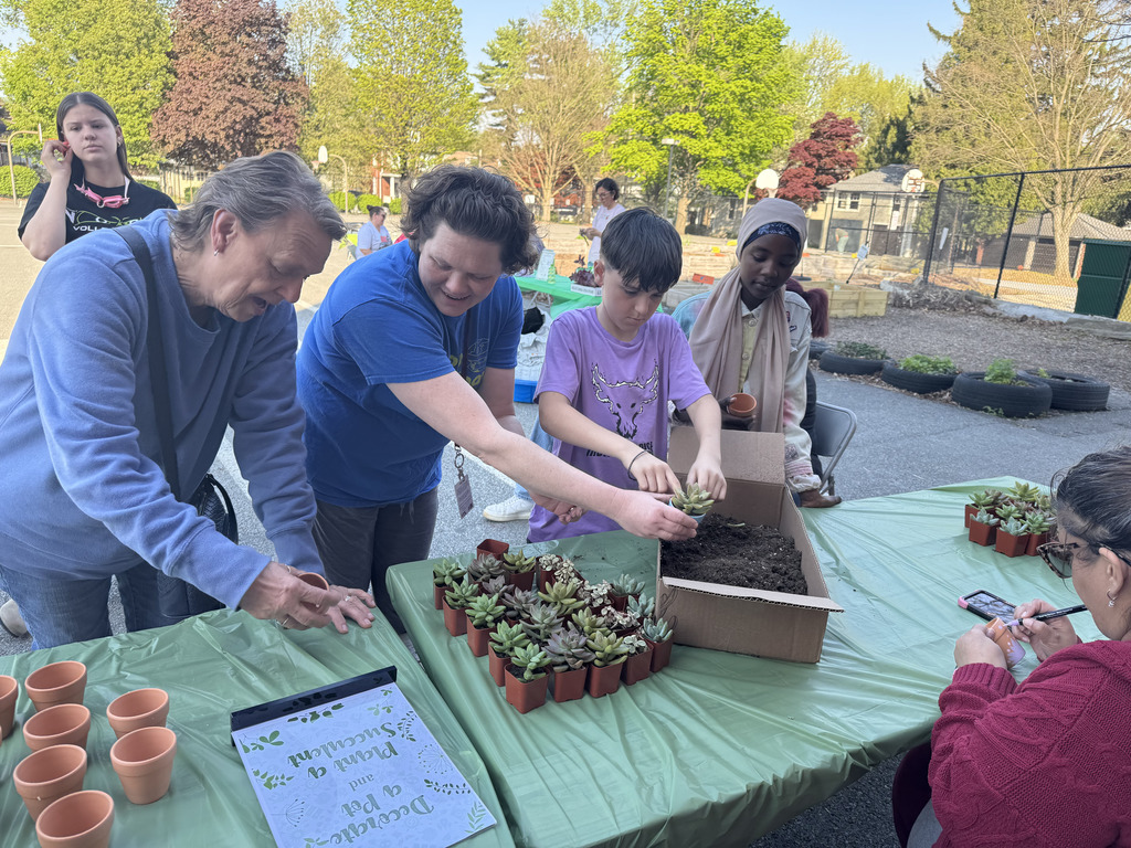 group of people working on  planting succulennts