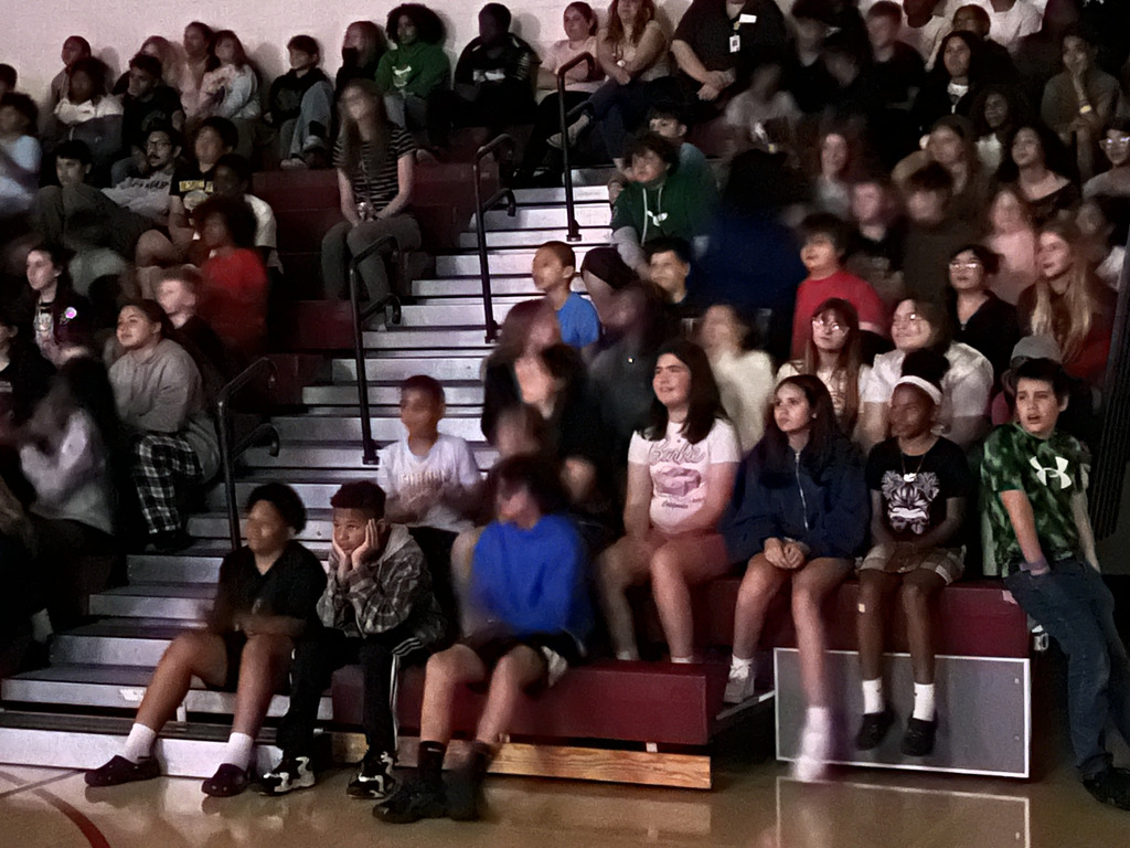 Students watching light show