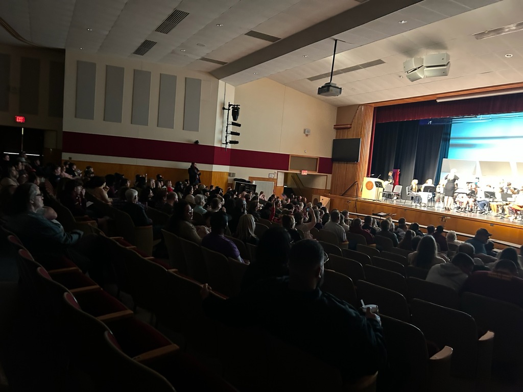 group of people sitting in the auditorium watching a concert 