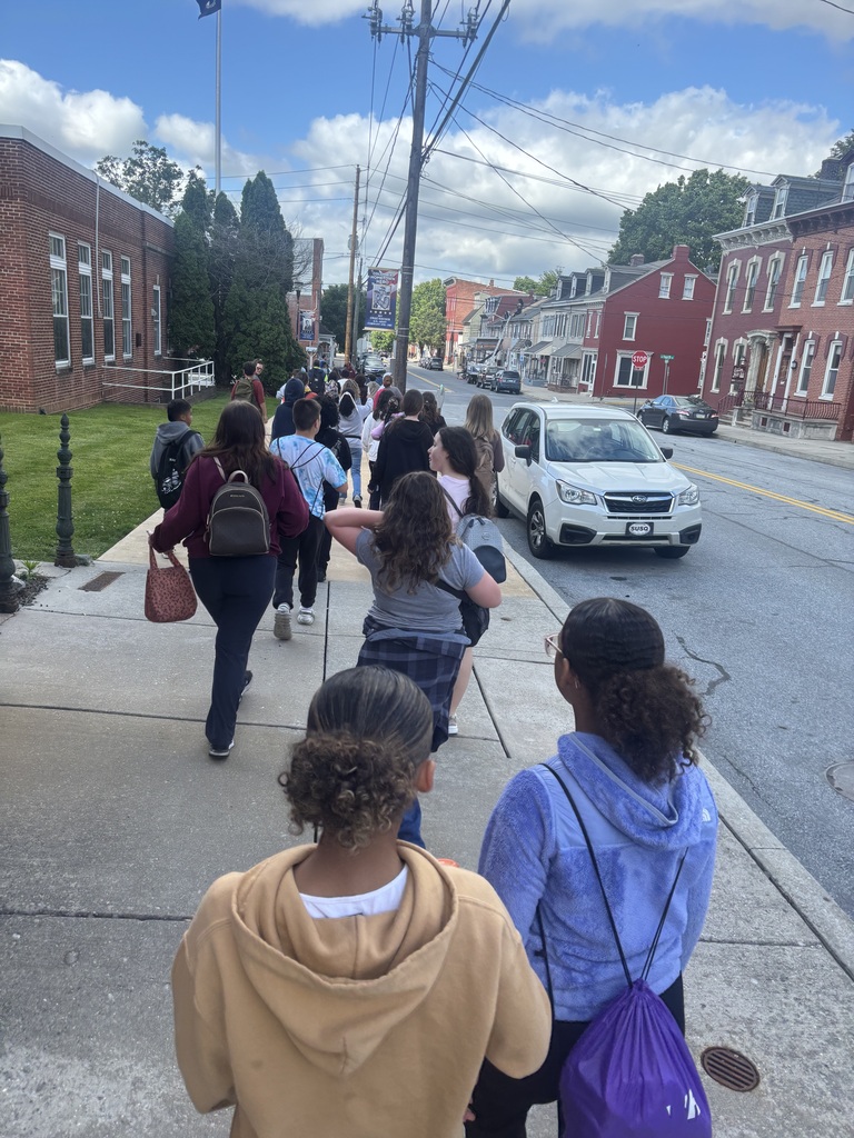 A diverse group of people walking together along a sidewalk on a sunny day.