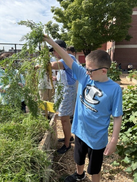 kids in the garden
