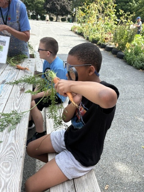 kids in the garden