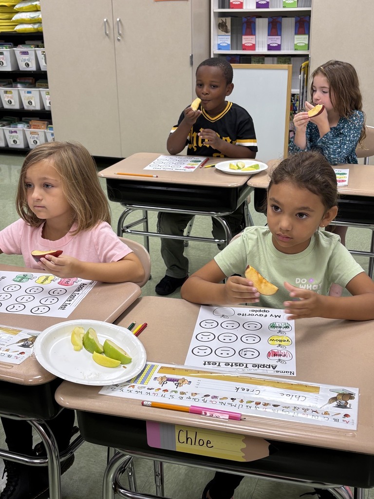 Mrs. Herr’s and Mrs. McCarty’s first grade classes joined together for an exciting apple investigation! Students explored different types of apples by observing, tasting, and comparing them. After sampling the apples, they graphed their favorites and analyzed the results. It was a fun, hands-on learning experience that combined science, math, and teamwork while celebrating the flavors of fall! 🍎