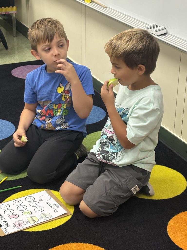 Mrs. Herr’s and Mrs. McCarty’s first grade classes joined together for an exciting apple investigation! Students explored different types of apples by observing, tasting, and comparing them. After sampling the apples, they graphed their favorites and analyzed the results. It was a fun, hands-on learning experience that combined science, math, and teamwork while celebrating the flavors of fall! 🍎