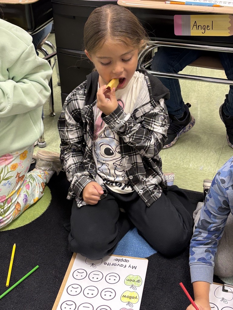 Mrs. Herr’s and Mrs. McCarty’s first grade classes joined together for an exciting apple investigation! Students explored different types of apples by observing, tasting, and comparing them. After sampling the apples, they graphed their favorites and analyzed the results. It was a fun, hands-on learning experience that combined science, math, and teamwork while celebrating the flavors of fall! 🍎