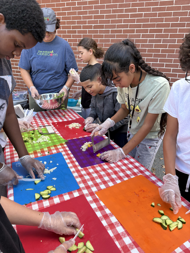 Students wearing gloves chop cucumbers and other vegetables on colorful cutting boards at tables covered with red-and-white checkered tablecloths during an outdoor cooking activity.