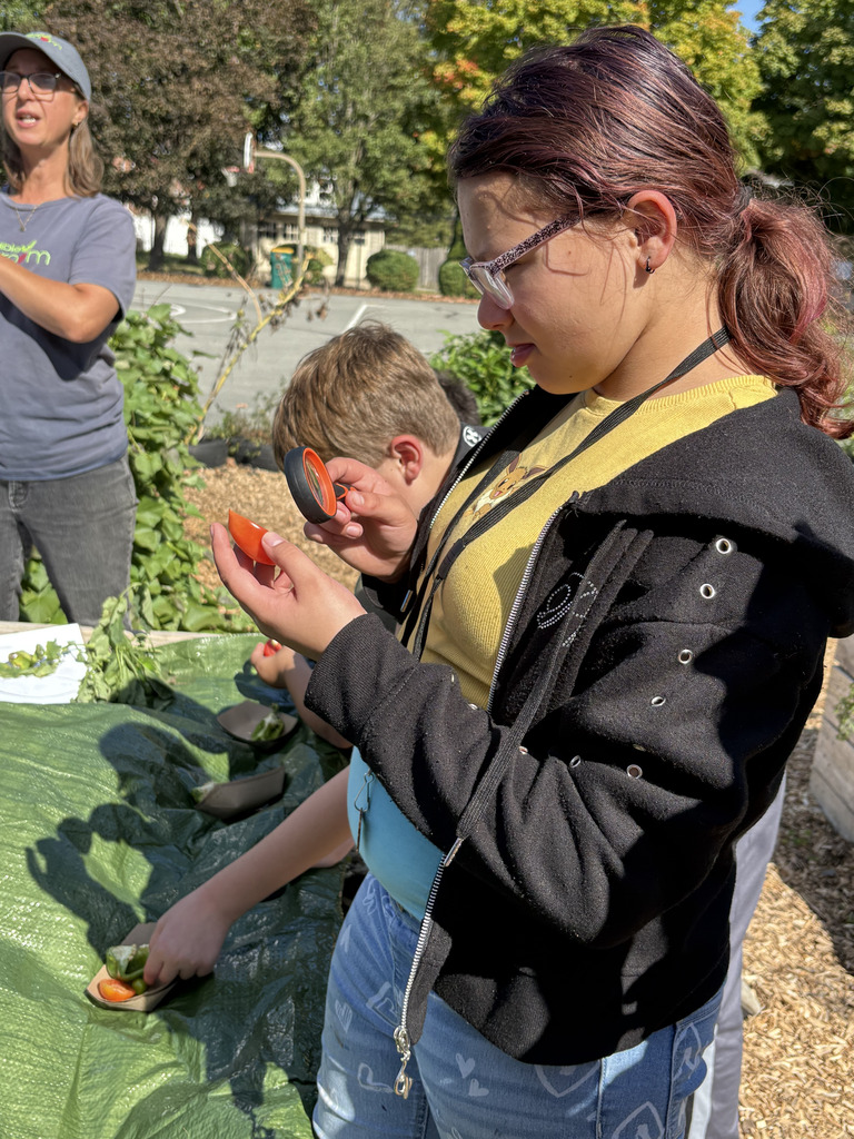 Students examine and sample pieces of vegetables at an outdoor table during a hands-on food science activity, with garden beds and greenery in the background.