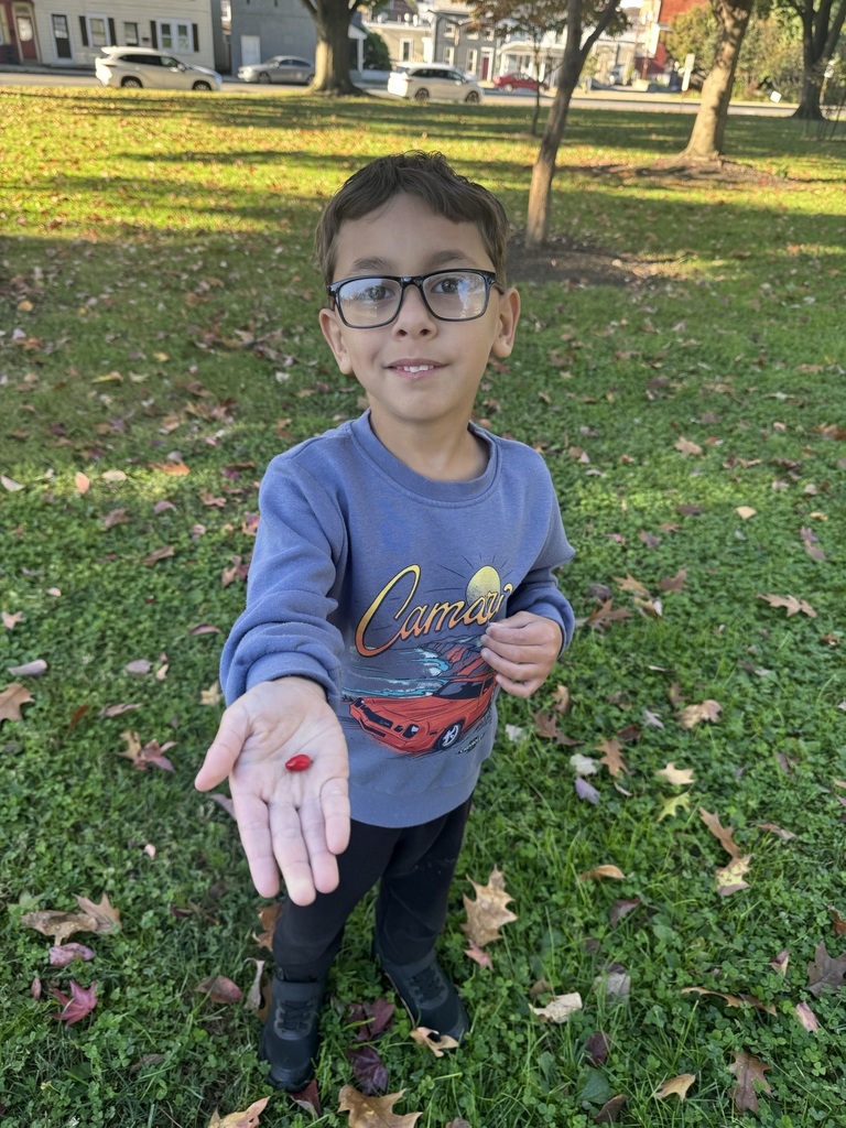 🌳 Learning Comes to Life Outdoors! 🍂  Our kindergarten students in Ms. Stockslager and Ms. Helton's classes wrapped up Module 1 of Arts & Letters with a nature walk! Students explored the outdoors using their five senses to notice the sights, sounds, smells, textures, and wonders of nature. 👀👂👃✋  What a fun way to connect classroom learning to the world around us!