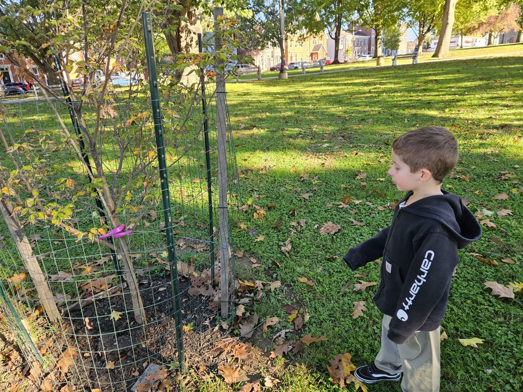 🌳 Learning Comes to Life Outdoors! 🍂  Our kindergarten students in Ms. Stockslager and Ms. Helton's classes wrapped up Module 1 of Arts & Letters with a nature walk! Students explored the outdoors using their five senses to notice the sights, sounds, smells, textures, and wonders of nature. 👀👂👃✋  What a fun way to connect classroom learning to the world around us!