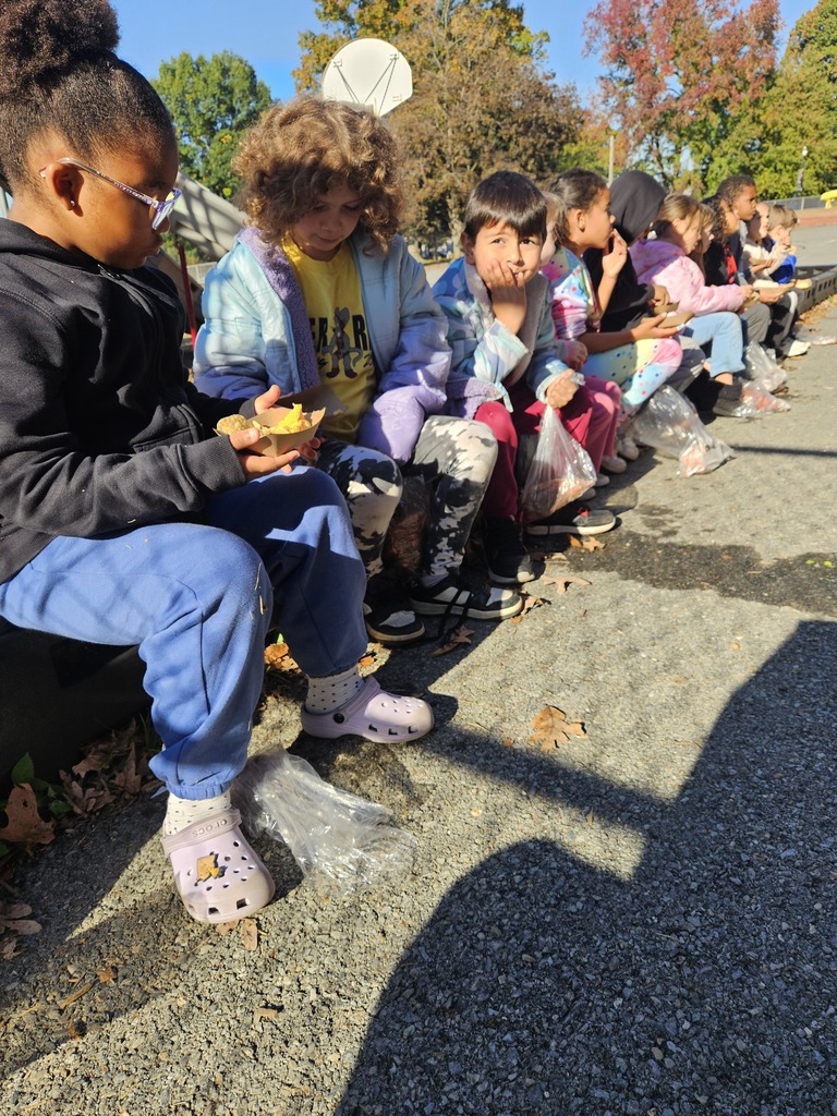 🍠🌱 Sweet Potato Fun in Kindergarten!  Ms. Helton’s Kindergarten gardeners were busy! They picked sweet potatoes, weighed them, and took their harvest home. Then came the best part: making and tasting sweet potato & chickpea hummus dip!  We love seeing our Park students dig, discover, create, and taste their way through learning! 