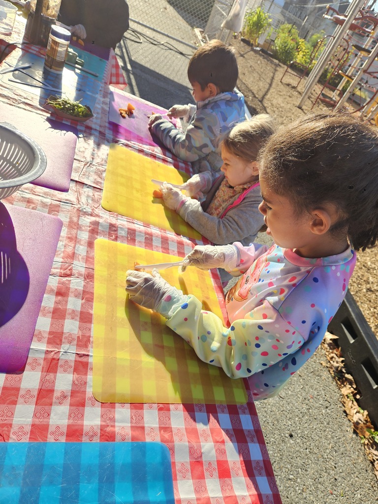 🍠🌱 Sweet Potato Fun in Kindergarten!  Ms. Helton’s Kindergarten gardeners were busy! They picked sweet potatoes, weighed them, and took their harvest home. Then came the best part: making and tasting sweet potato & chickpea hummus dip!  We love seeing our Park students dig, discover, create, and taste their way through learning! 