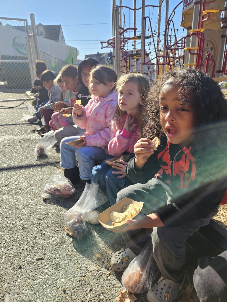 🍠🌱 Sweet Potato Fun in Kindergarten!  Ms. Helton’s Kindergarten gardeners were busy! They picked sweet potatoes, weighed them, and took their harvest home. Then came the best part: making and tasting sweet potato & chickpea hummus dip!  We love seeing our Park students dig, discover, create, and taste their way through learning! 