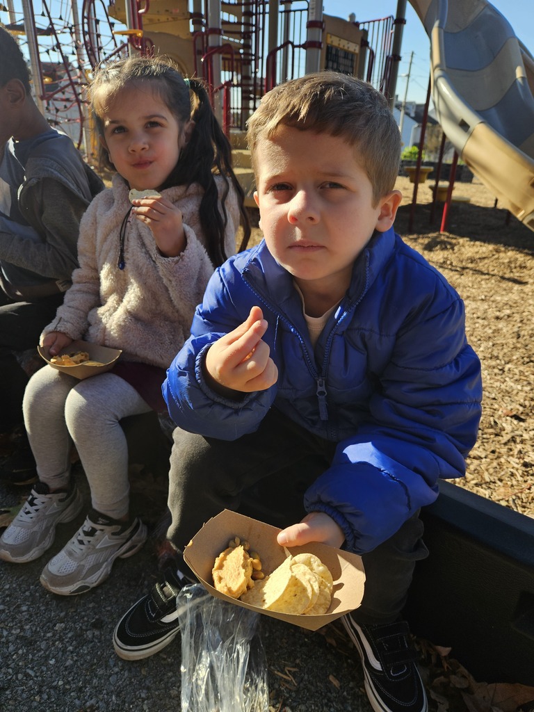 🍠🌱 Sweet Potato Fun in Kindergarten!  Ms. Helton’s Kindergarten gardeners were busy! They picked sweet potatoes, weighed them, and took their harvest home. Then came the best part: making and tasting sweet potato & chickpea hummus dip!  We love seeing our Park students dig, discover, create, and taste their way through learning! 