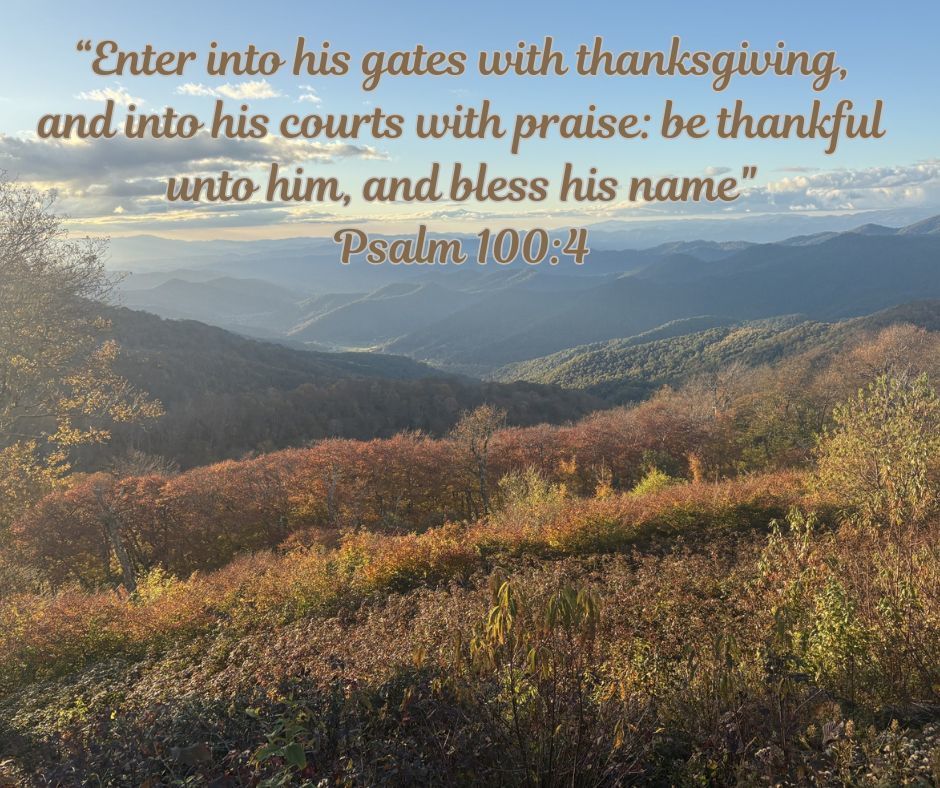 "Enter into his gates with thanksgiving, and into his courts with praise: be thankful unto him, and bless his name".  Psalm 100:4